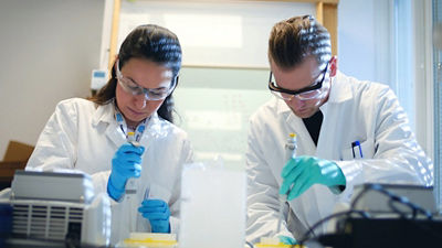 two experts working in a lab