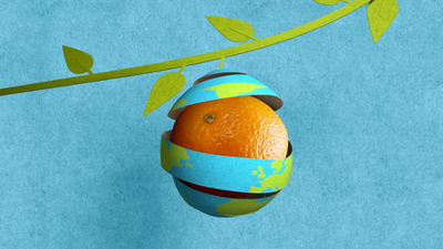 Orange with globe wrapped around in cardboard