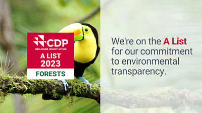 forests and cdp logo