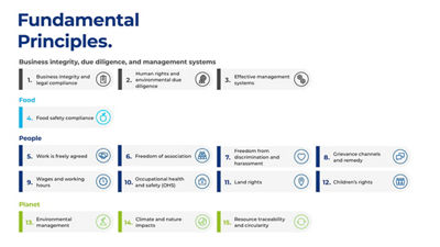 imagen de principios fundamentales