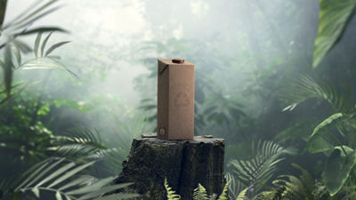 envase de cartón en el bosque