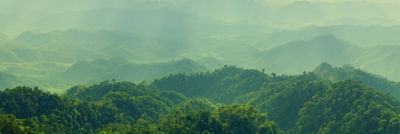 Paisaje sobre bosque