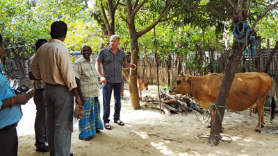 People standing around cow