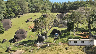 projeto nascentes sustentabilidade