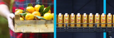 oranges and orange juice cartons