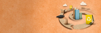 Cartons can become many different products