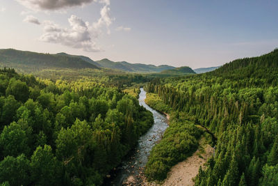 Updated Approach to Nature