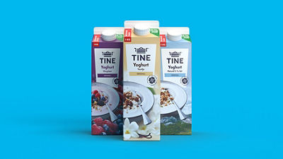 Recycling station, recycling bins