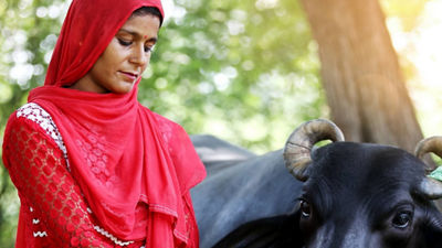 Frau neben einer Kuh