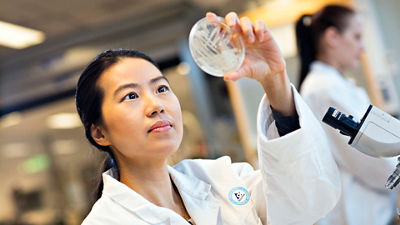 Specialist at work in lab