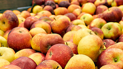 Rethinking the whole process