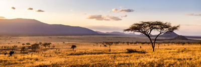 Nature in Kenya