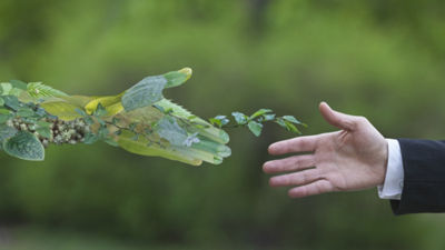 Aperto de mão entre humano e a natureza
