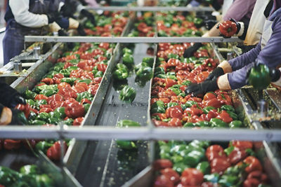 Workers washing peppers in a factory