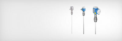​​​​​​​​​​​​​​​​​Capacitive Level - Endress + Hauser