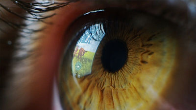 Carton reflecting in eye