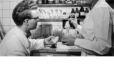 Two workers carton testing in a lab