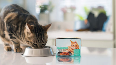 Cat eating, pet food in Tetra Recart 100 mini carton packages