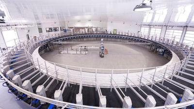 Country Aire Farms, DeLaval milking equipment