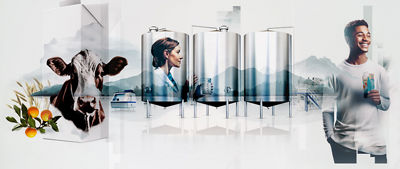 Vaca, depósitos, mujer y un hombre