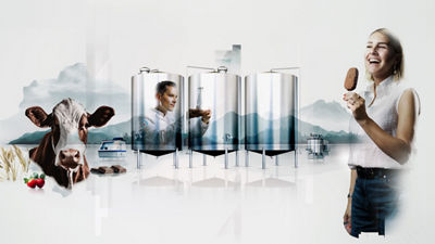 Mucca, vasche, uomo e donna che mangiano gelati