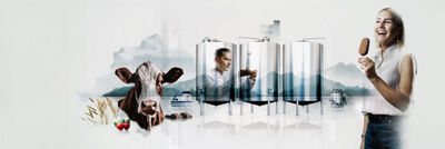 Cow, tanks, man and a woman eating ice cream