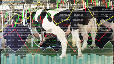 Cows and data graphs