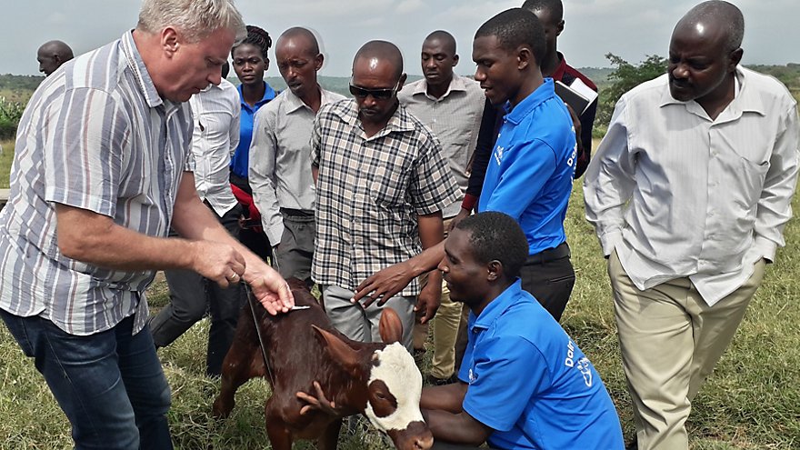 Educating dairy farmers in Uganda