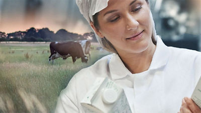 Dairy operator with cows in the background