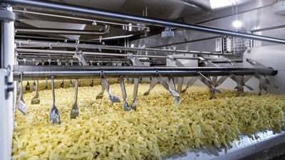 Cheddar production at Dale Farm