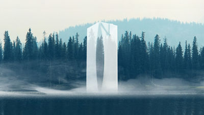 Envase de cartón en el bosque