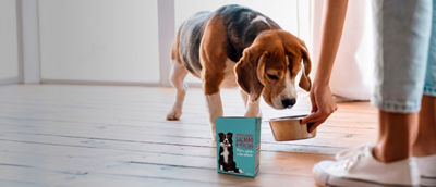 Alimentação de cães, alimentos para cães na Tetra Recart 