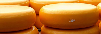 エダムチーズとゴーダチーズ向けのプロセッシングアプリケーション Tetra Pak