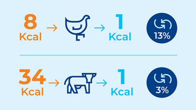 信息学:动物蛋白源