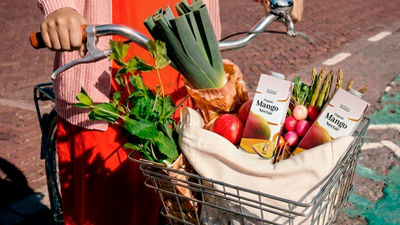 Bicycle basket filled with fresh produce and juice cartons