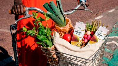 Bicycle basket filled with fresh produce and juice cartons