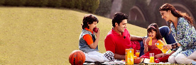 家庭享受野餐安全餐