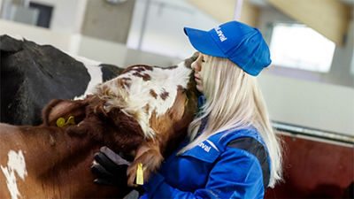 Farmer and cow