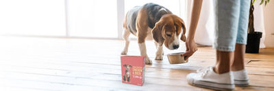 Feeding dog, wet pet food in Tetra Recart carton package