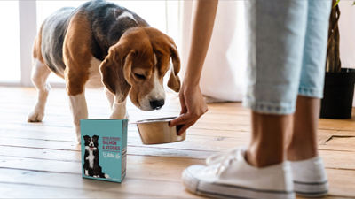 Feeding dog, pet food in Tetra Recart carton package