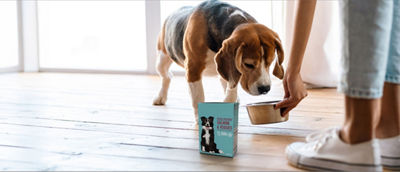 Feeding dog, dog food in Tetra Recart 