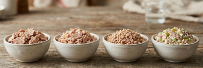 Different types of tuna in bowls