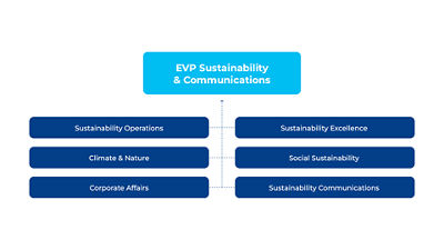 a diagram of a company's structure