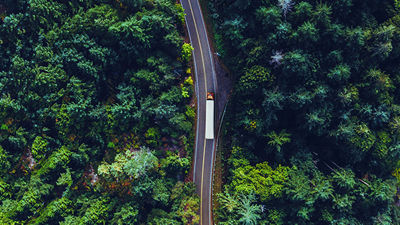 一辆卡车沿小路穿过绿林