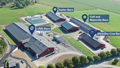 Hamra farm, barn layout