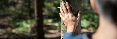 Mano sobre un árbol, niña en un bosque