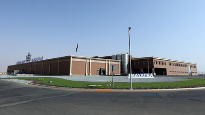 Hayatna plant