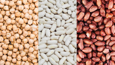 chickpeas, beans and nuts for plant-based ice cream