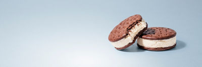 Ice cream sadwiches