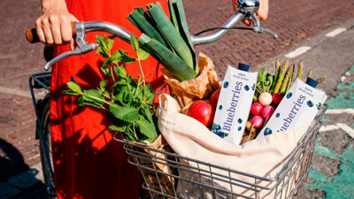 Bicycle basket filled with fresh produce and juice cartons